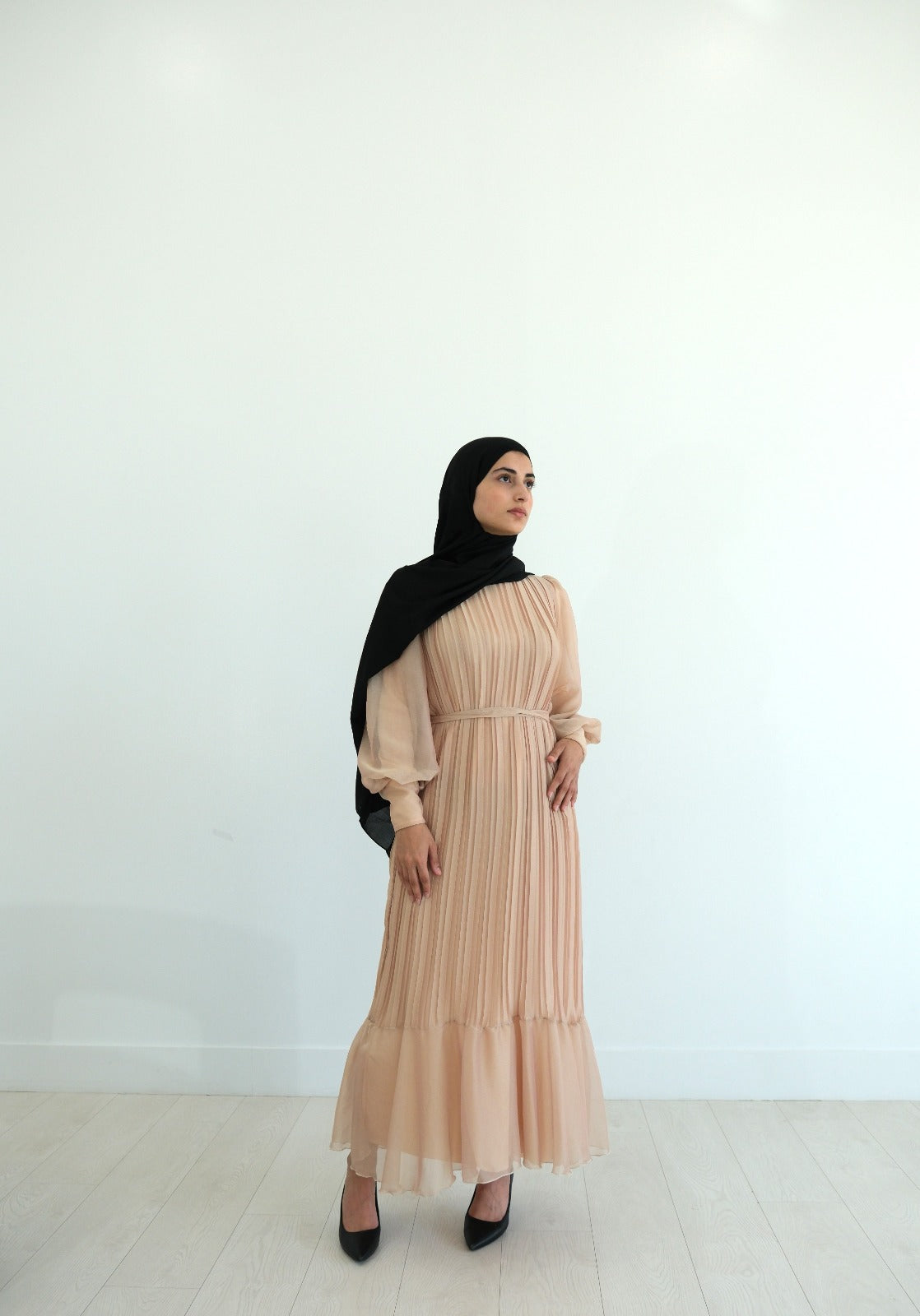 Elegant Pleated Lined Dress - Stardust