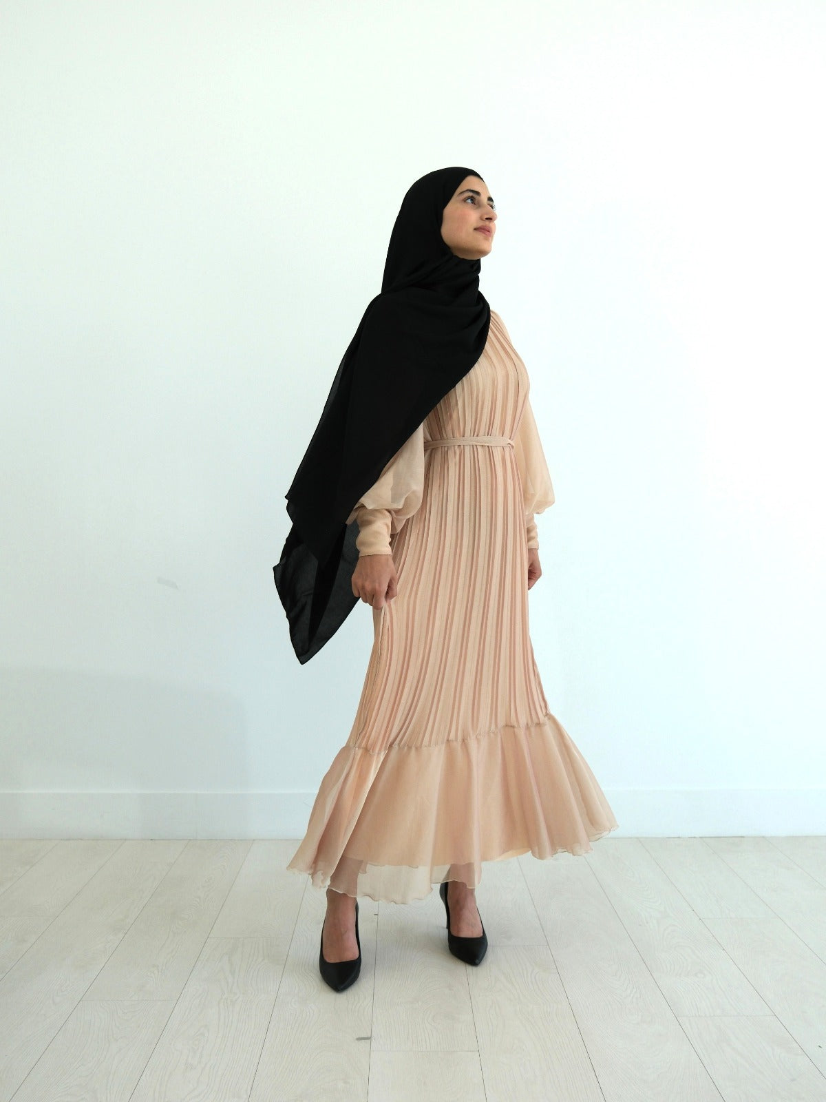 Elegant Pleated Lined Dress - Stardust